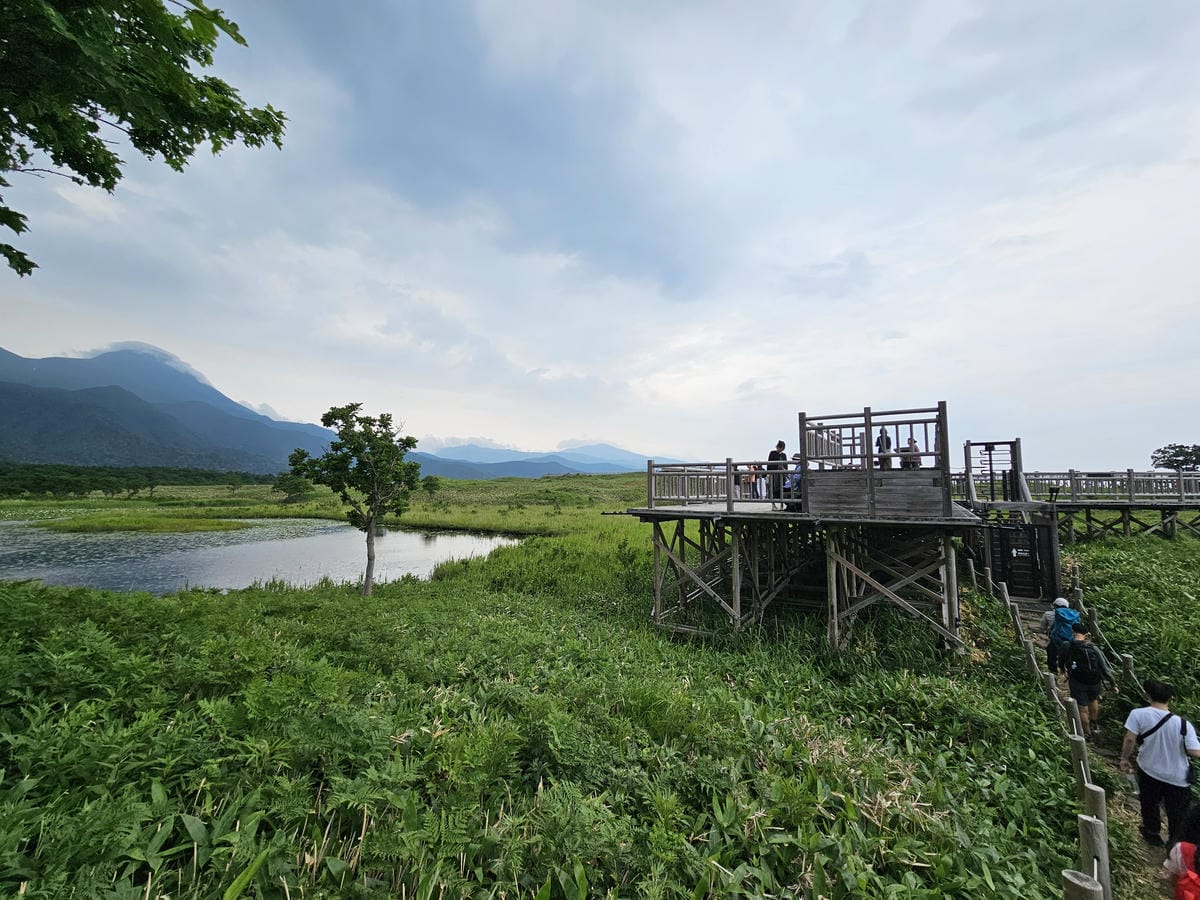 夏の北海道道東自駕遊 Day2-1 在知床五湖散步看到熊