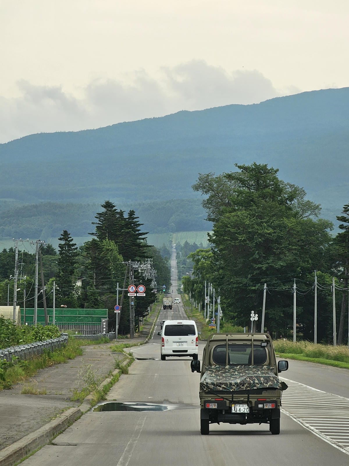 夏の北海道道東自駕遊 Day2-1 在知床五湖散步看到熊