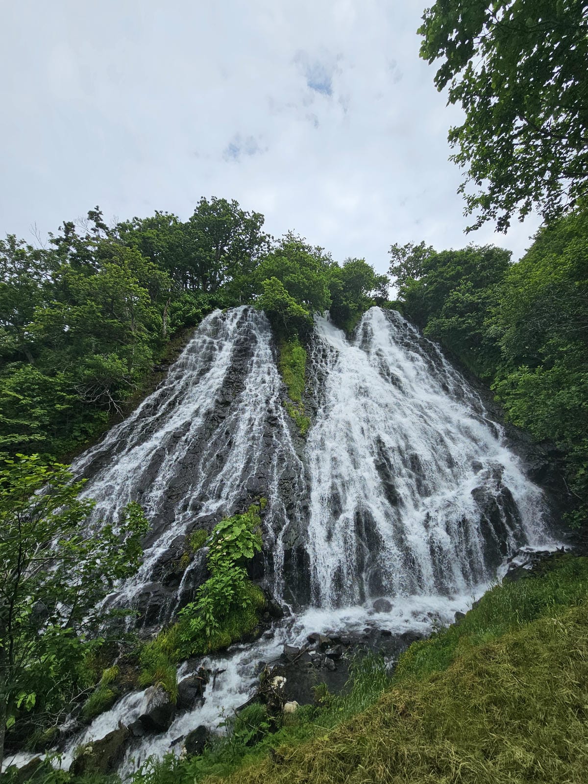 夏の北海道道東自駕遊 Day3-1 知床半島世界遺產天之連續 夏の北海道道東自駕遊 Day3-1 知床半島世界遺產天之連續