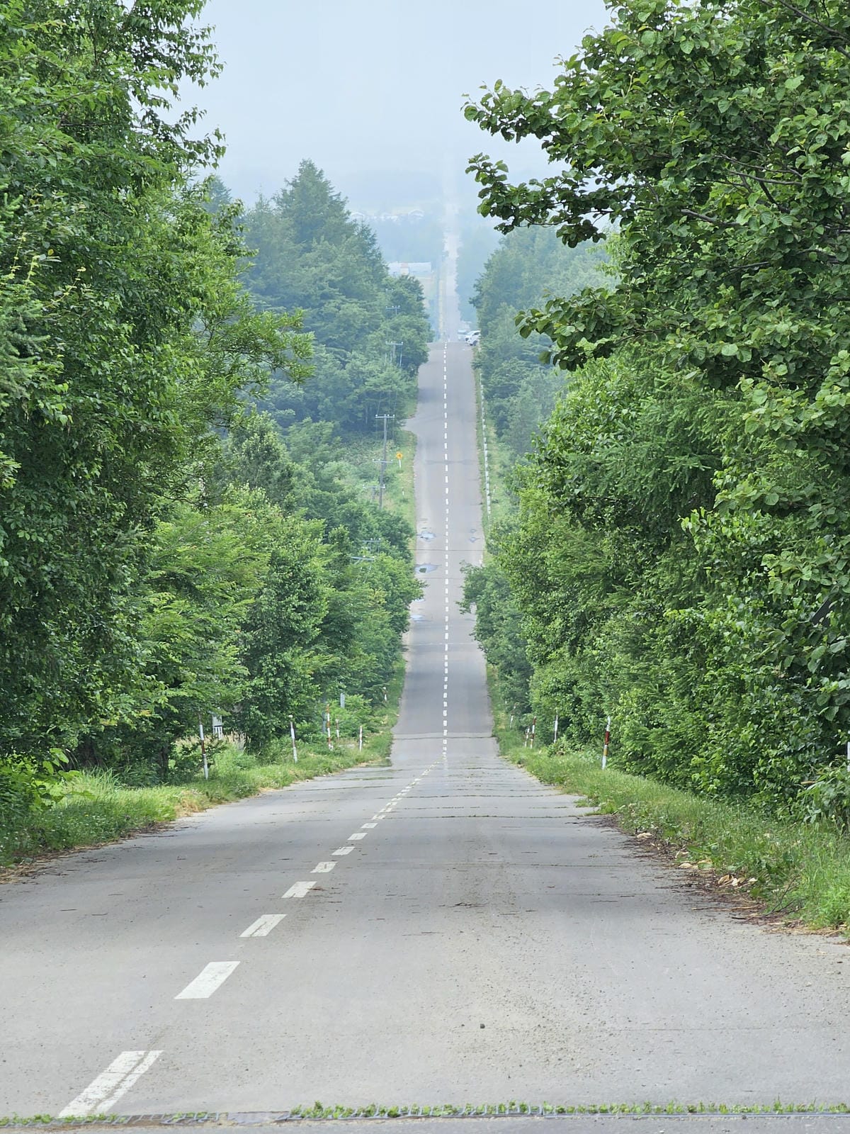 夏の北海道道東自駕遊 Day3-1 知床半島世界遺產天之連續 夏の北海道道東自駕遊 Day3-1 知床半島世界遺產天之連續