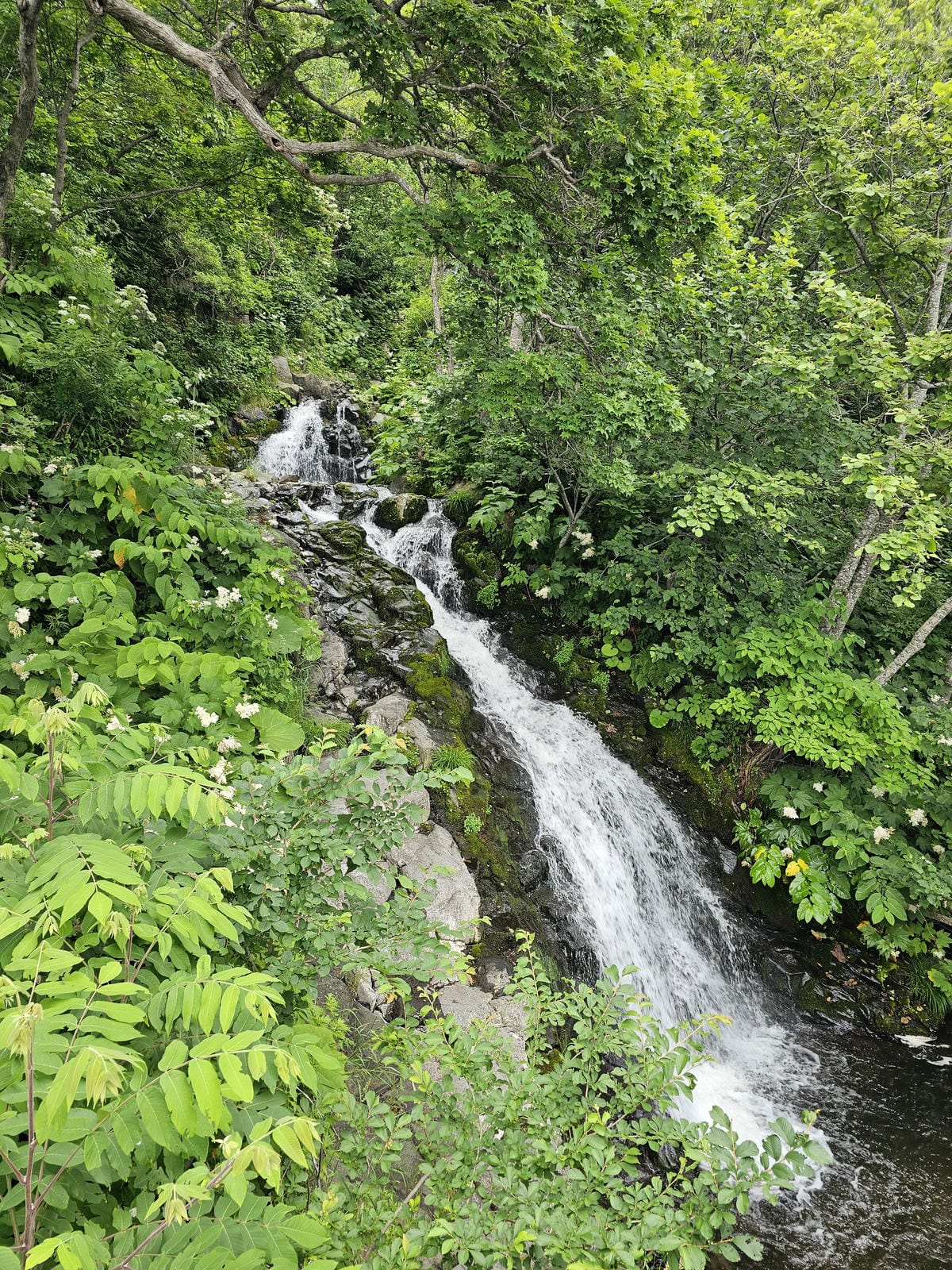 夏の北海道道東自駕遊 Day3-1 知床半島世界遺產天之連續 夏の北海道道東自駕遊 Day3-1 知床半島世界遺產天之連續