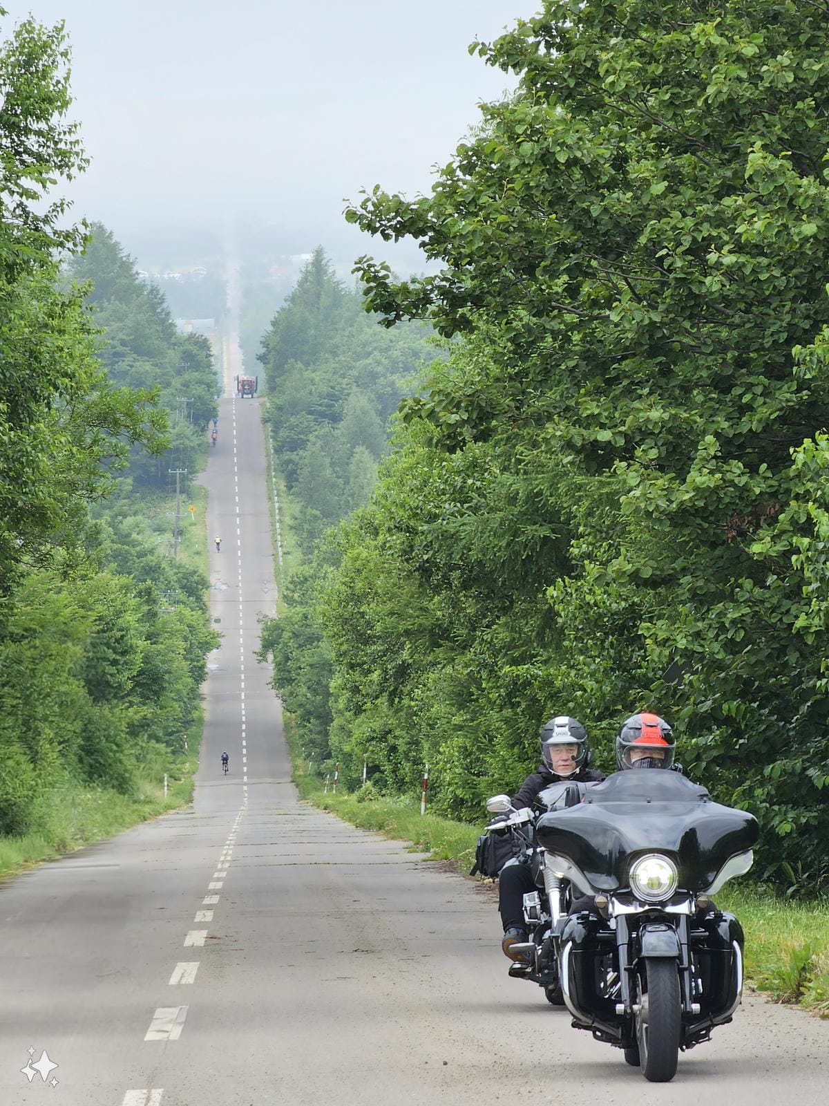 夏の北海道道東自駕遊 Day3-1 知床半島世界遺產天之連續 夏の北海道道東自駕遊 Day3-1 知床半島世界遺產天之連續