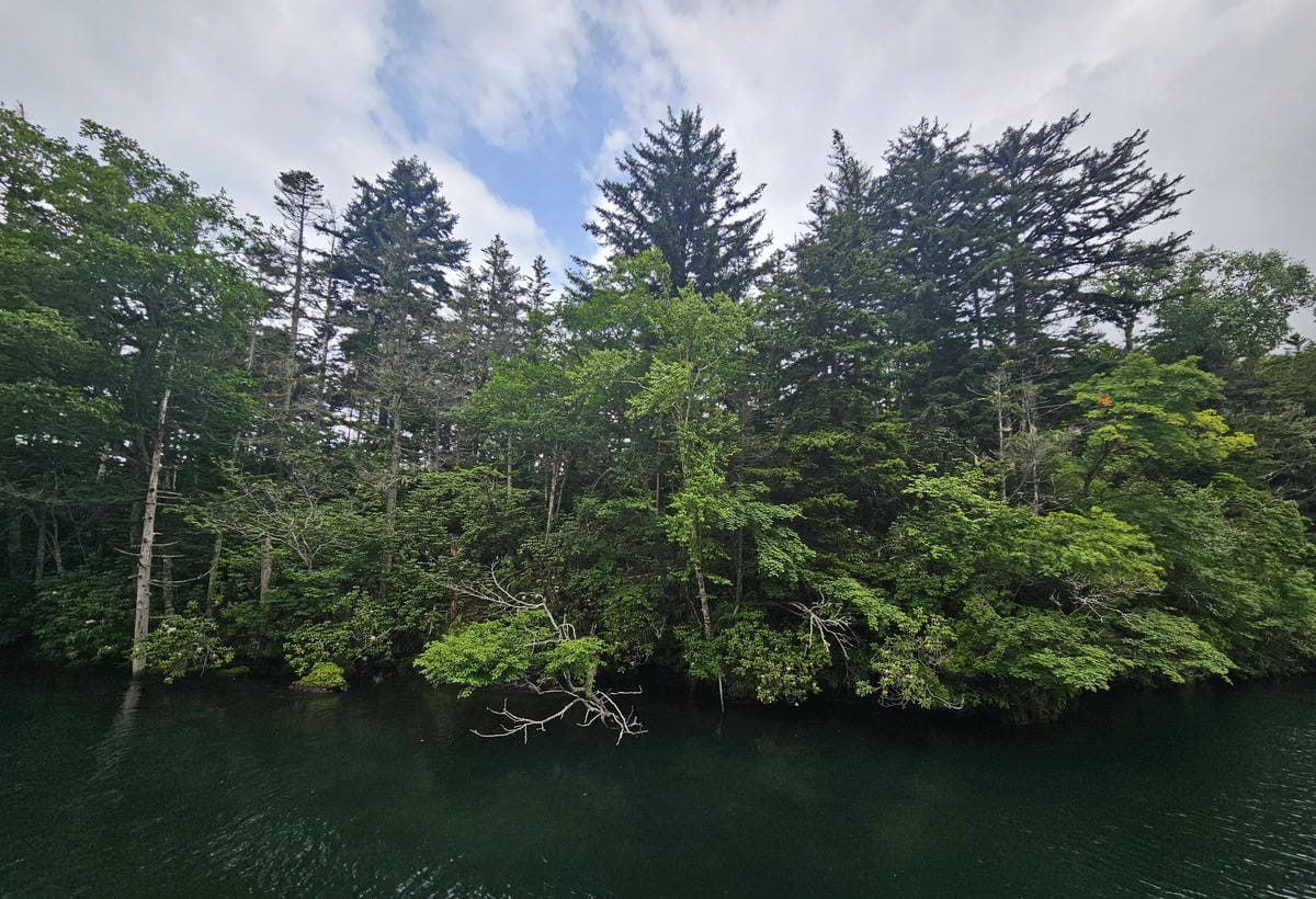 夏の北海道道東自駕遊 Day4-2 阿寒湖遊船&賞綠球藻 夏の北海道道東自駕遊 Day4-2 阿寒湖遊船&賞綠球藻