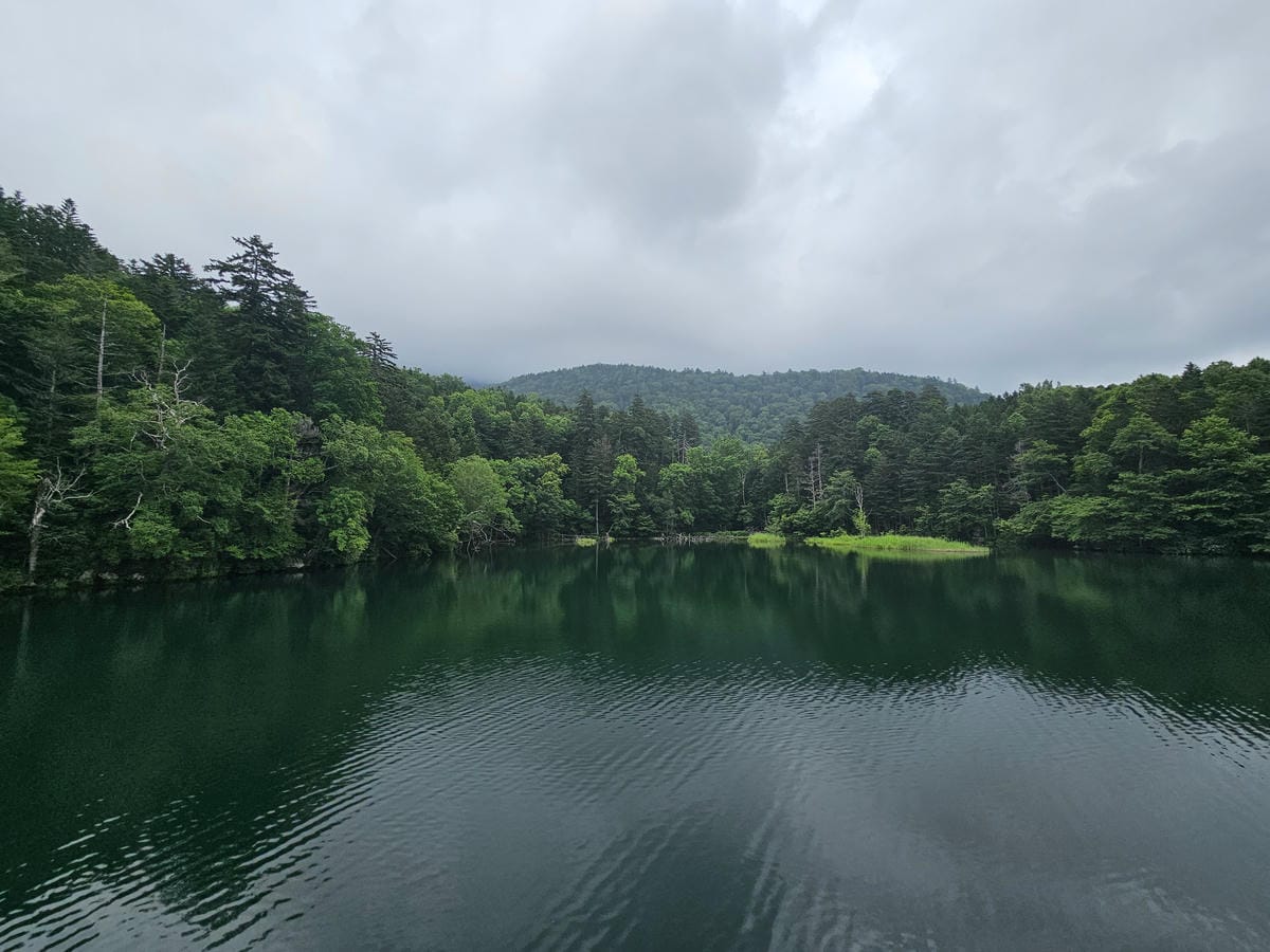 夏の北海道道東自駕遊 Day4-2 阿寒湖遊船&賞綠球藻 夏の北海道道東自駕遊 Day4-2 阿寒湖遊船&賞綠球藻