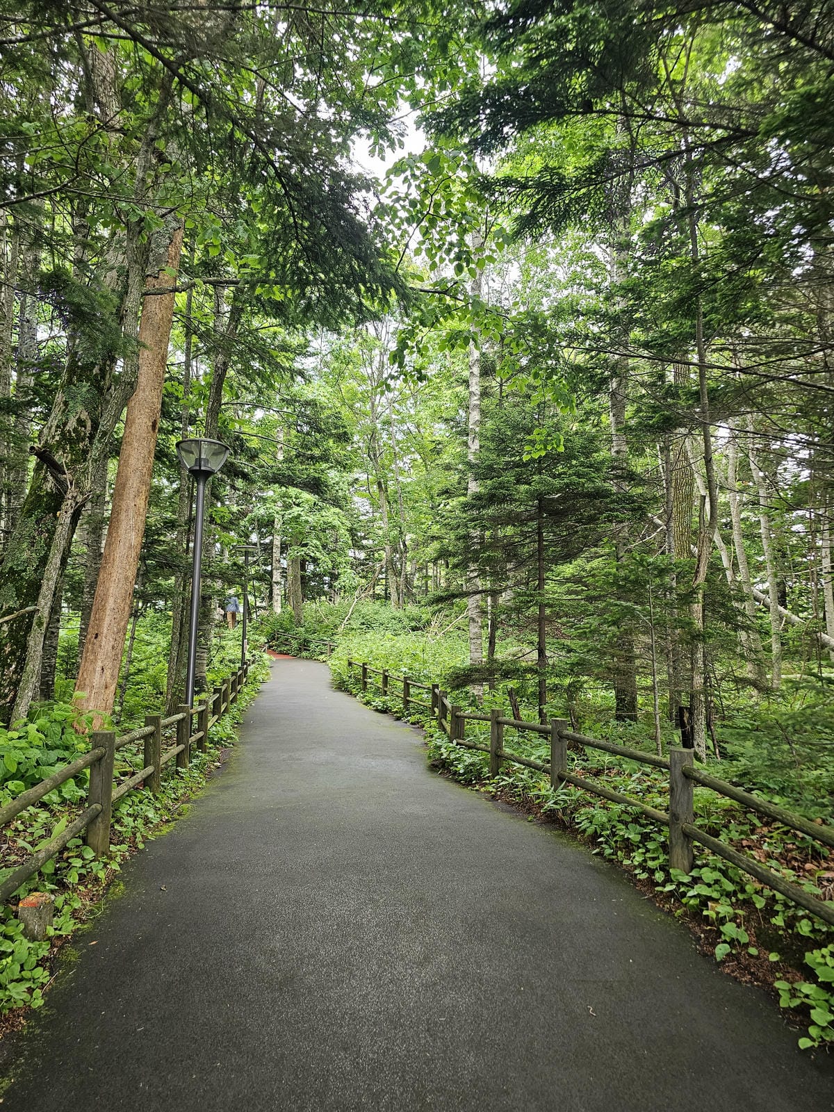 夏の北海道道東自駕遊 Day4-2 阿寒湖遊船&賞綠球藻 夏の北海道道東自駕遊 Day4-2 阿寒湖遊船&賞綠球藻