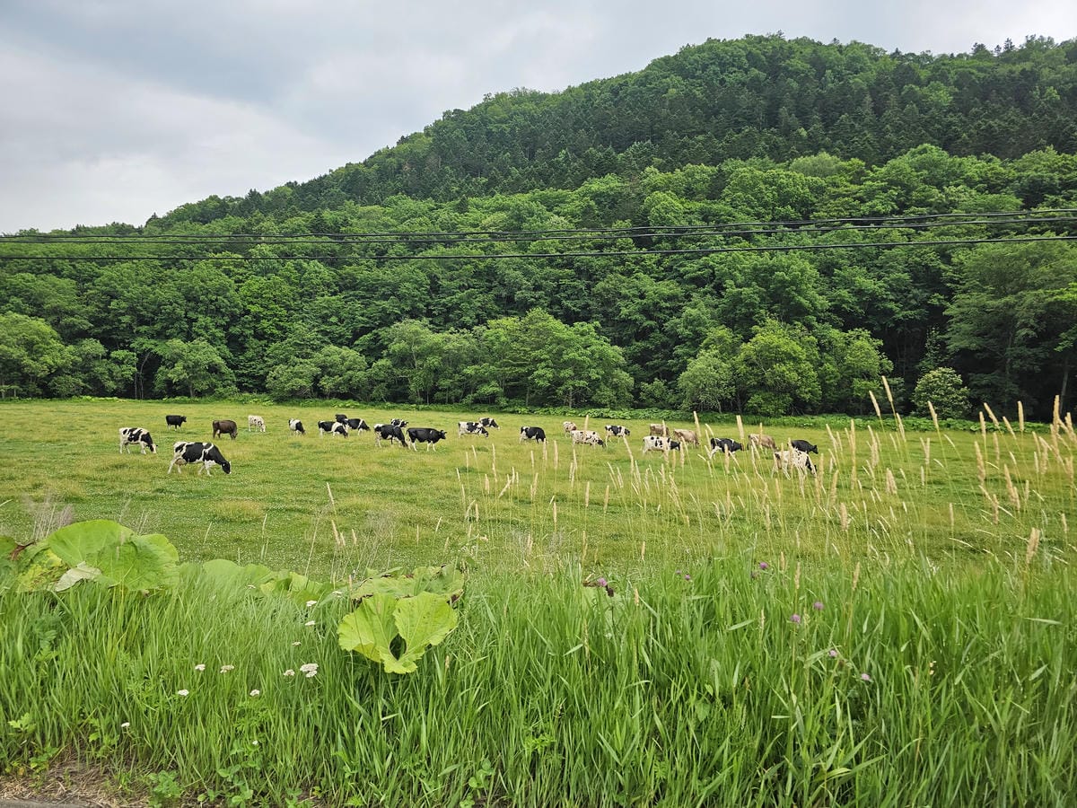 夏の北海道道東自駕遊 Day4-3 穿越狩勝峠從道東直殺道央 夏の北海道道東自駕遊 Day4-3 穿越狩勝峠從道東直殺道央