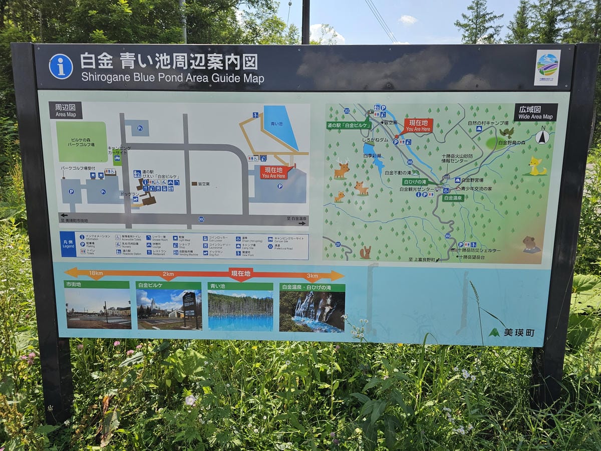 夏の北海道道東自駕遊 Day5-1 美瑛白金清池之清池藍收集 夏の北海道道東自駕遊 Day5-1 美瑛白金清池之清池藍收集