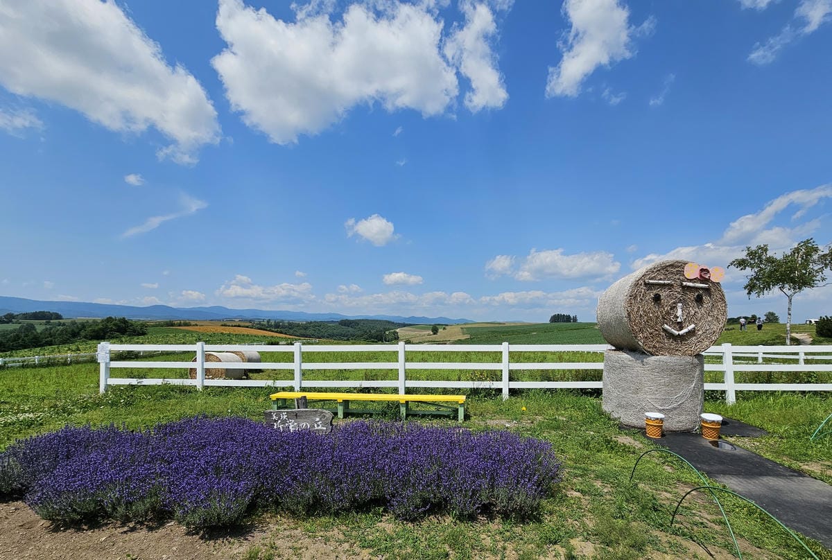 夏の北海道道東自駕遊 Day5-2 美瑛超廣角之路&南富良野 夏の北海道道東自駕遊 Day5-2 美瑛超廣角之路&南富良野