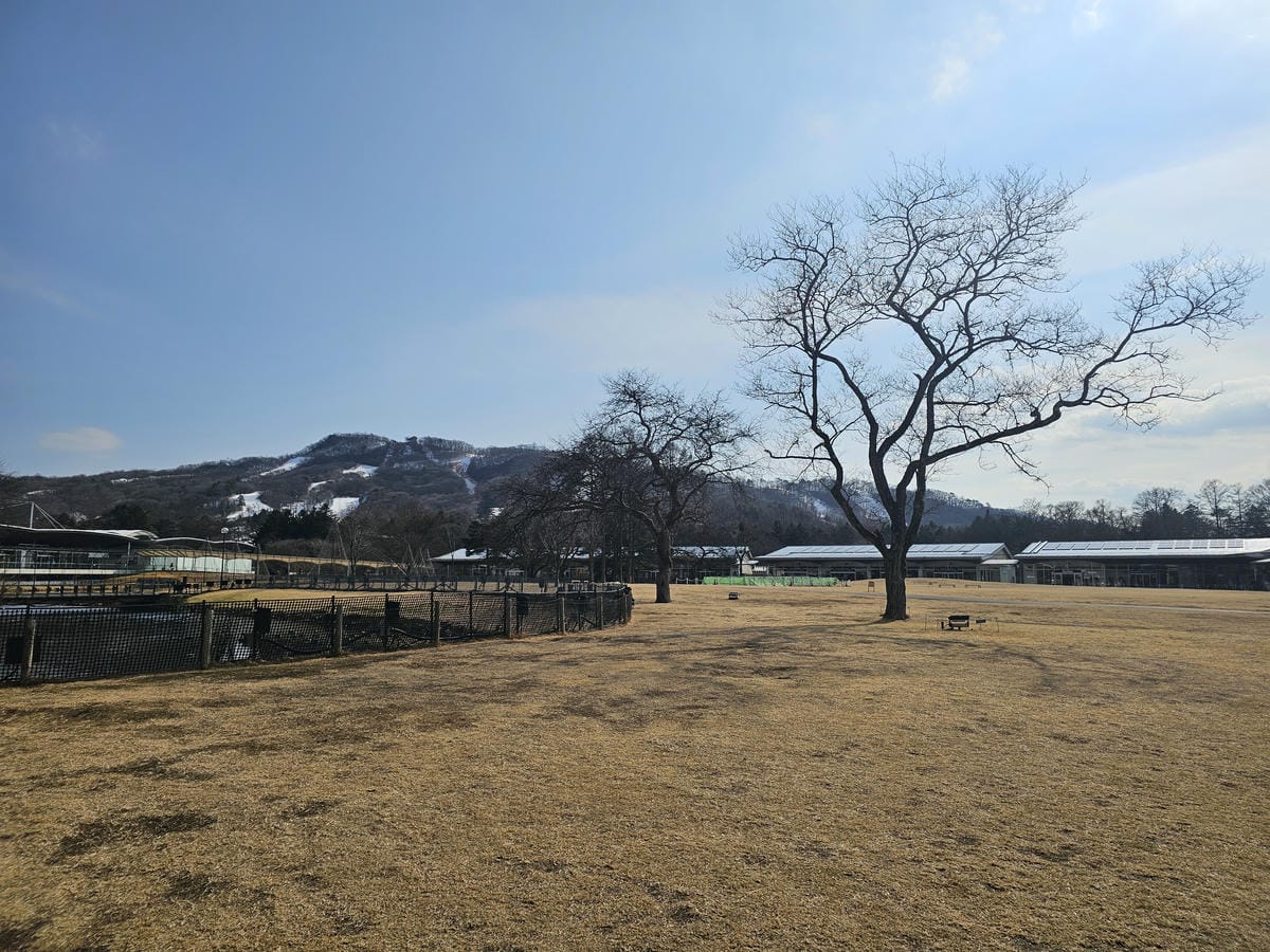 Day2-2 越後湯沢NASPA滑雪-小孩滑雪爸媽輕井沢血拚 Day2-2 越後湯沢NASPA滑雪-小孩滑雪爸媽輕井沢血拚