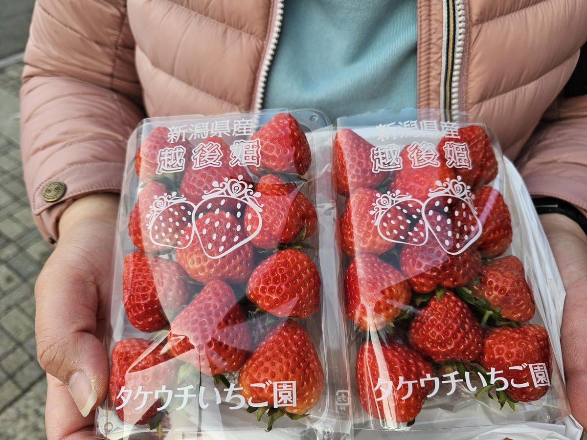 Day2-2 越後湯沢NASPA滑雪-小孩滑雪爸媽輕井沢血拚 Day2-2 越後湯沢NASPA滑雪-小孩滑雪爸媽輕井沢血拚