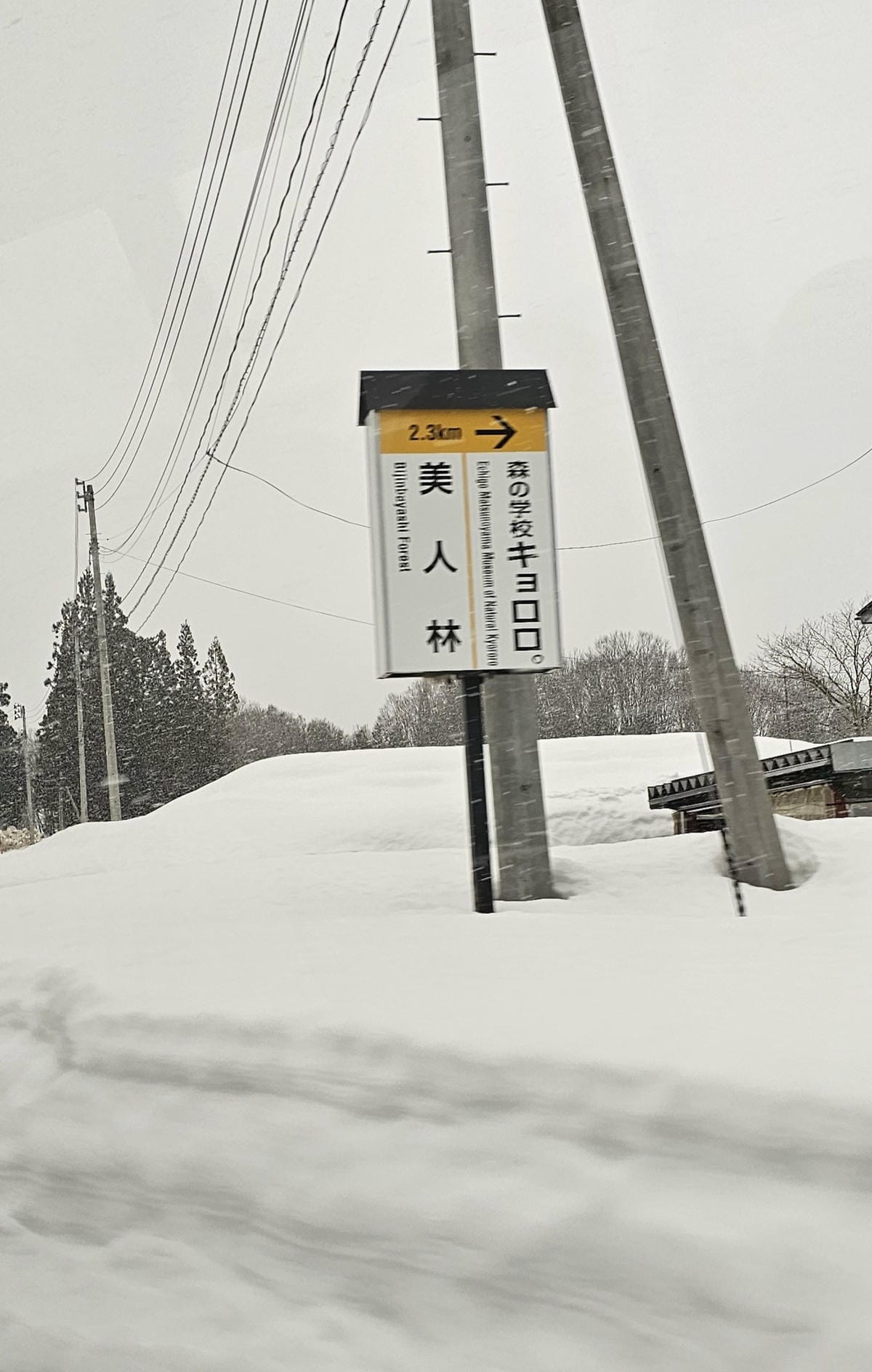 Day4-2 新潟湯澤十日町包車一日遊 (松之山溫泉午餐、美 Day4-2 新潟湯澤十日町包車一日遊 (松之山溫泉午餐、美