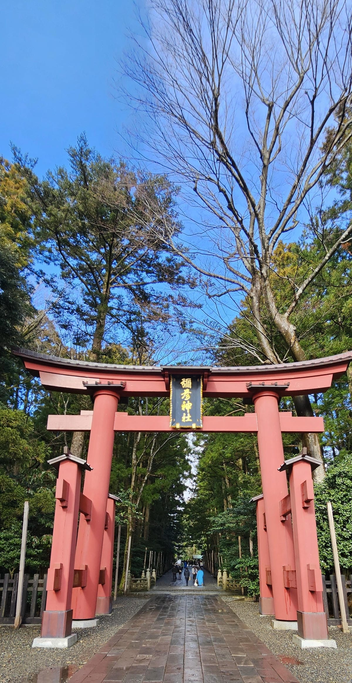 Day5-1 冬天自駕遊雪中的越後一宮彌彥神社