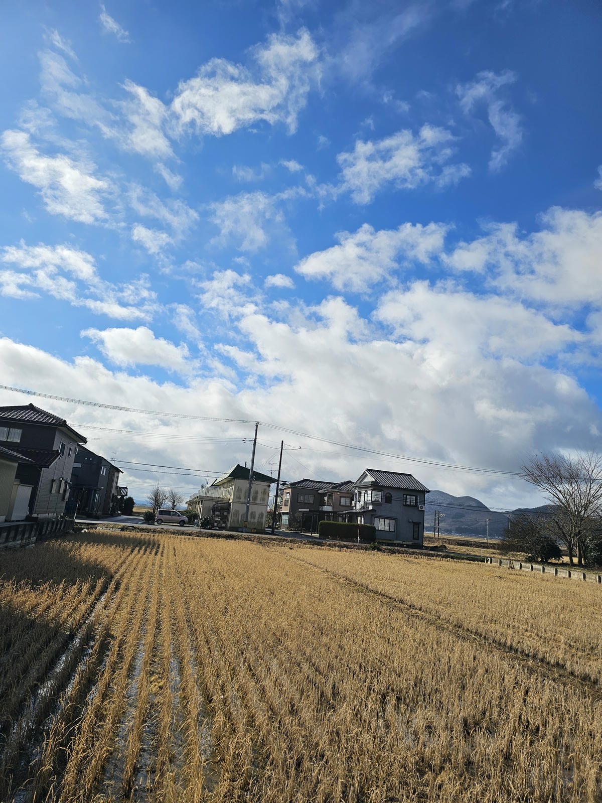 Day5-1 冬天自駕遊雪中的越後一宮彌彥神社 Day5-1 冬天自駕遊雪中的越後一宮彌彥神社