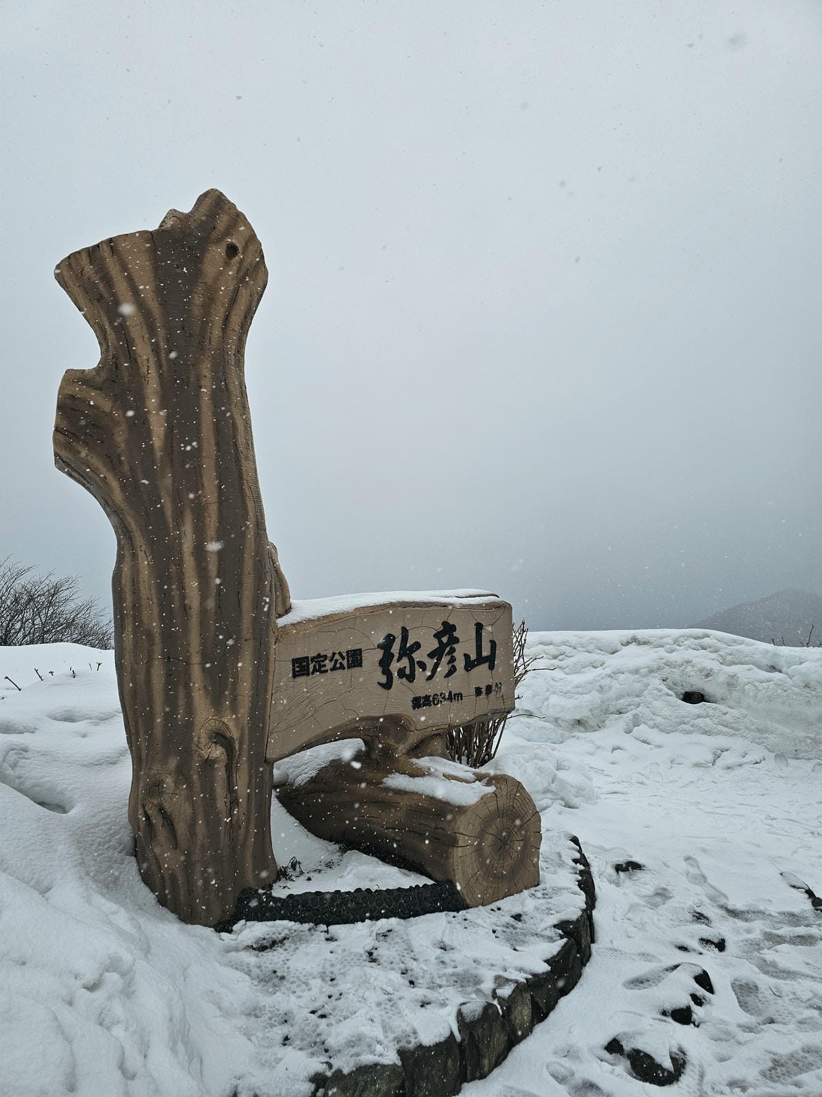 Day5-2 彌彥山頂遠眺日本海,風雨大雪&晴空萬里搭纜車一 Day5-2 彌彥山頂遠眺日本海,風雨大雪&晴空萬里搭纜車一