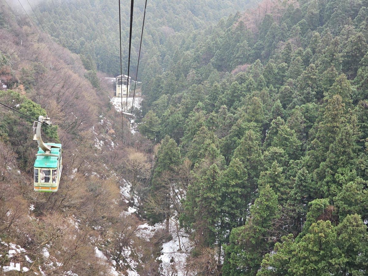 Day5-2 彌彥山頂遠眺日本海,風雨大雪&晴空萬里搭纜車一 Day5-2 彌彥山頂遠眺日本海,風雨大雪&晴空萬里搭纜車一