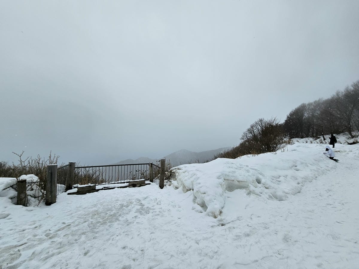 Day5-2 彌彥山頂遠眺日本海,風雨大雪&晴空萬里搭纜車一 Day5-2 彌彥山頂遠眺日本海,風雨大雪&晴空萬里搭纜車一