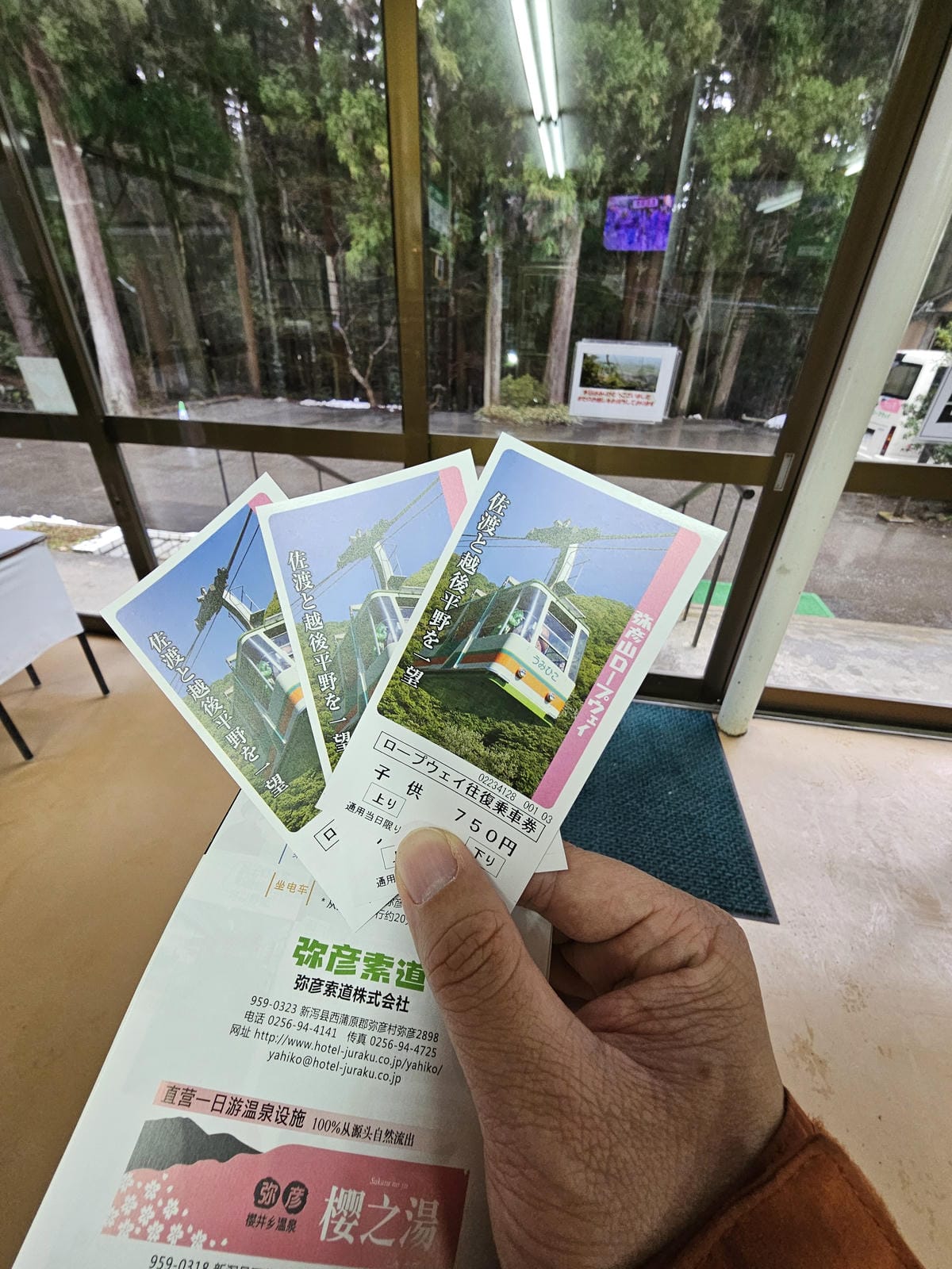 Day5-2 彌彥山頂遠眺日本海,風雨大雪&晴空萬里搭纜車一 Day5-2 彌彥山頂遠眺日本海,風雨大雪&晴空萬里搭纜車一
