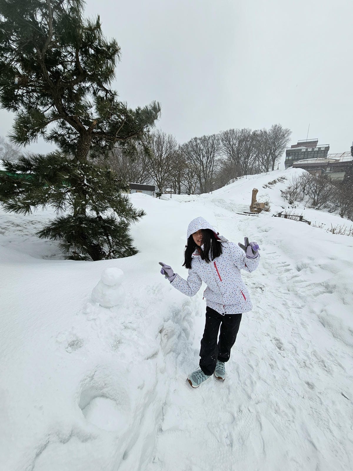 Day5-2 彌彥山頂遠眺日本海,風雨大雪&晴空萬里搭纜車一 Day5-2 彌彥山頂遠眺日本海,風雨大雪&晴空萬里搭纜車一