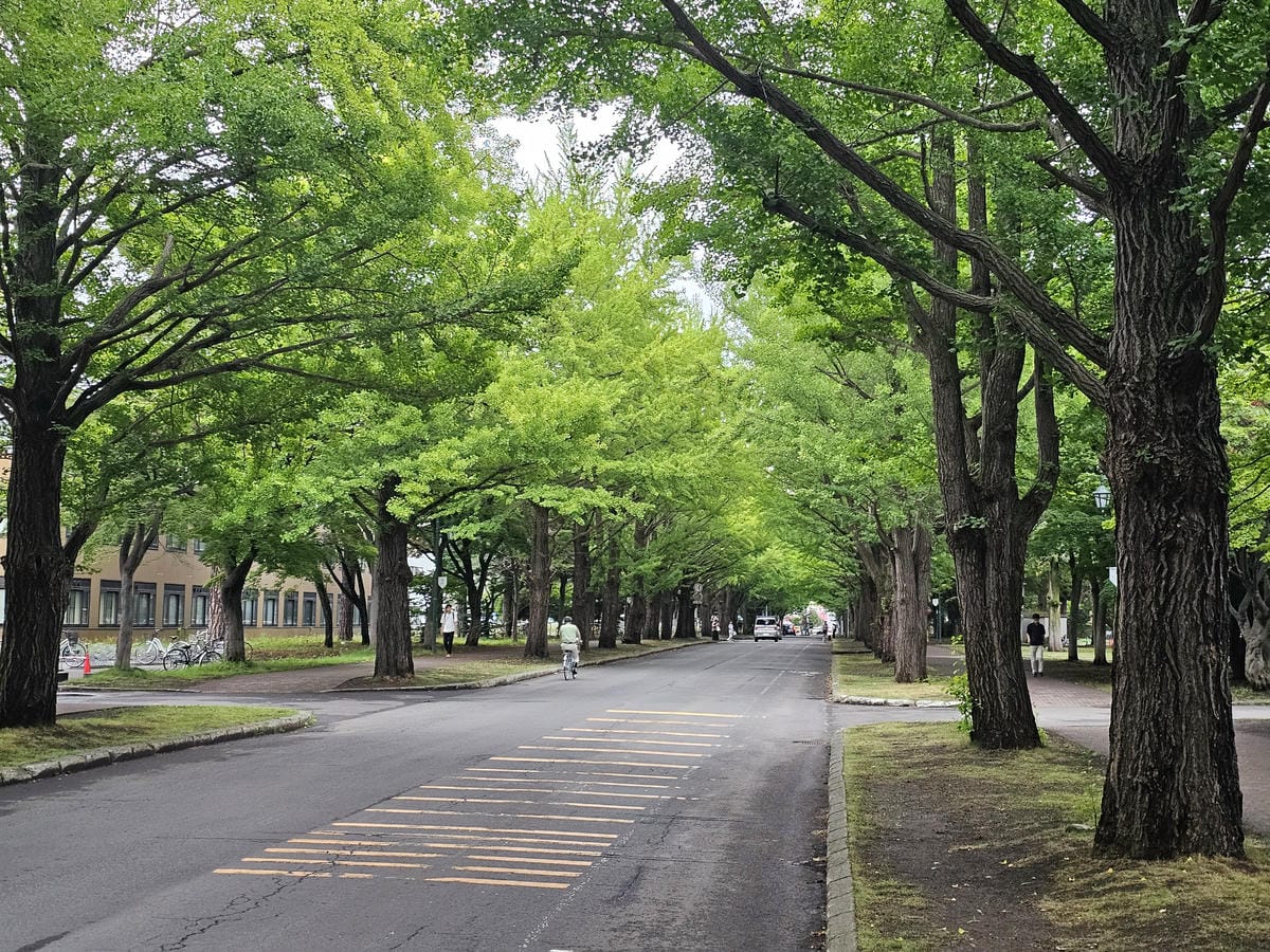 Day1 夏天的札幌 - 北海道大學初訪&久違的成吉思汗烤肉 Day1 夏天的札幌 - 北海道大學初訪&久違的成吉思汗烤肉