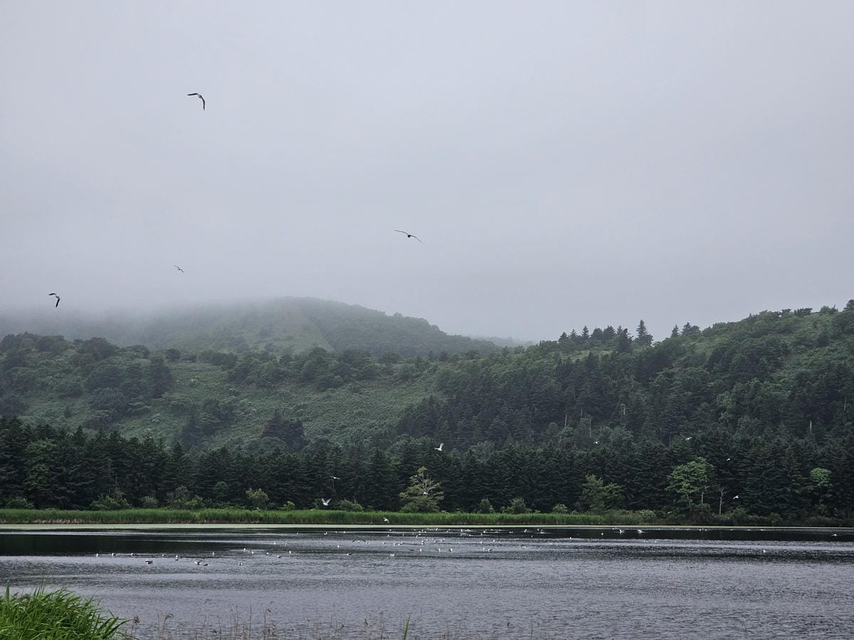 Day2-2 道北的離島 - 自駕利尻一周順便挖海膽去 Day2-2 道北的離島 - 自駕利尻一周順便挖海膽去