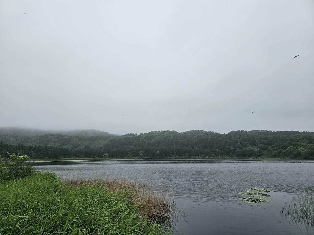 Day2-2 道北的離島 - 自駕利尻一周順便挖海膽去 Day2-2 道北的離島 - 自駕利尻一周順便挖海膽去