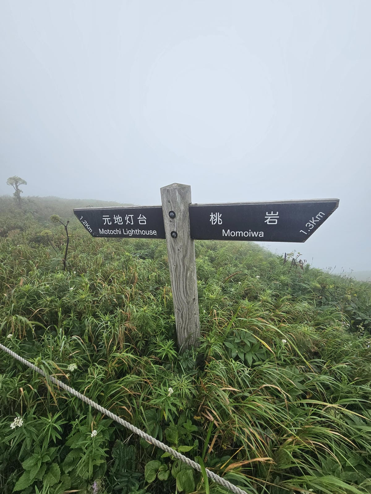 Day3-1 道北的離島 - 花之浮島禮文健行 : 桃岩展望 Day3-1 道北的離島 - 花之浮島禮文健行 : 桃岩展望