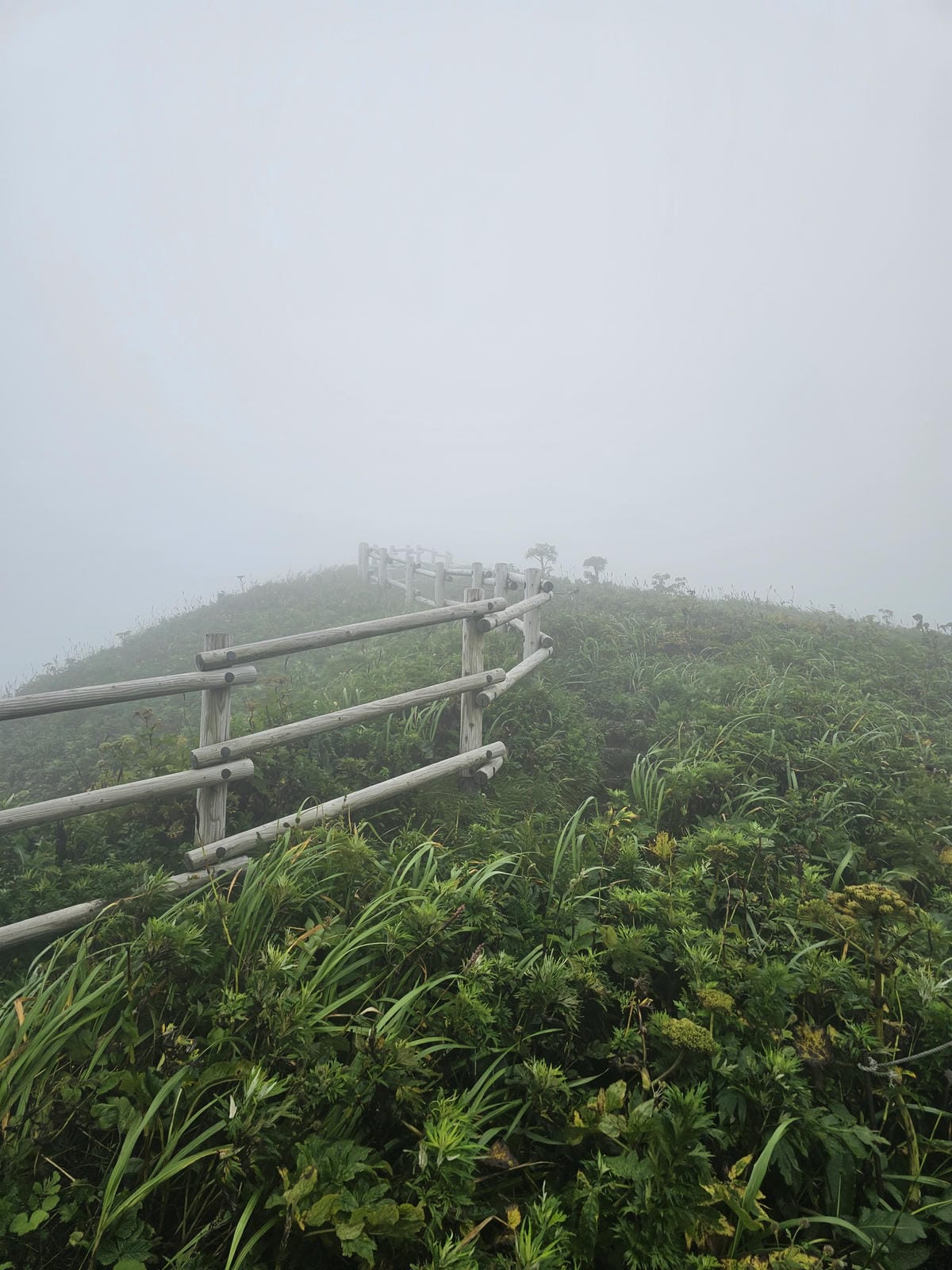 Day3-1 道北的離島 - 花之浮島禮文健行 : 桃岩展望 Day3-1 道北的離島 - 花之浮島禮文健行 : 桃岩展望