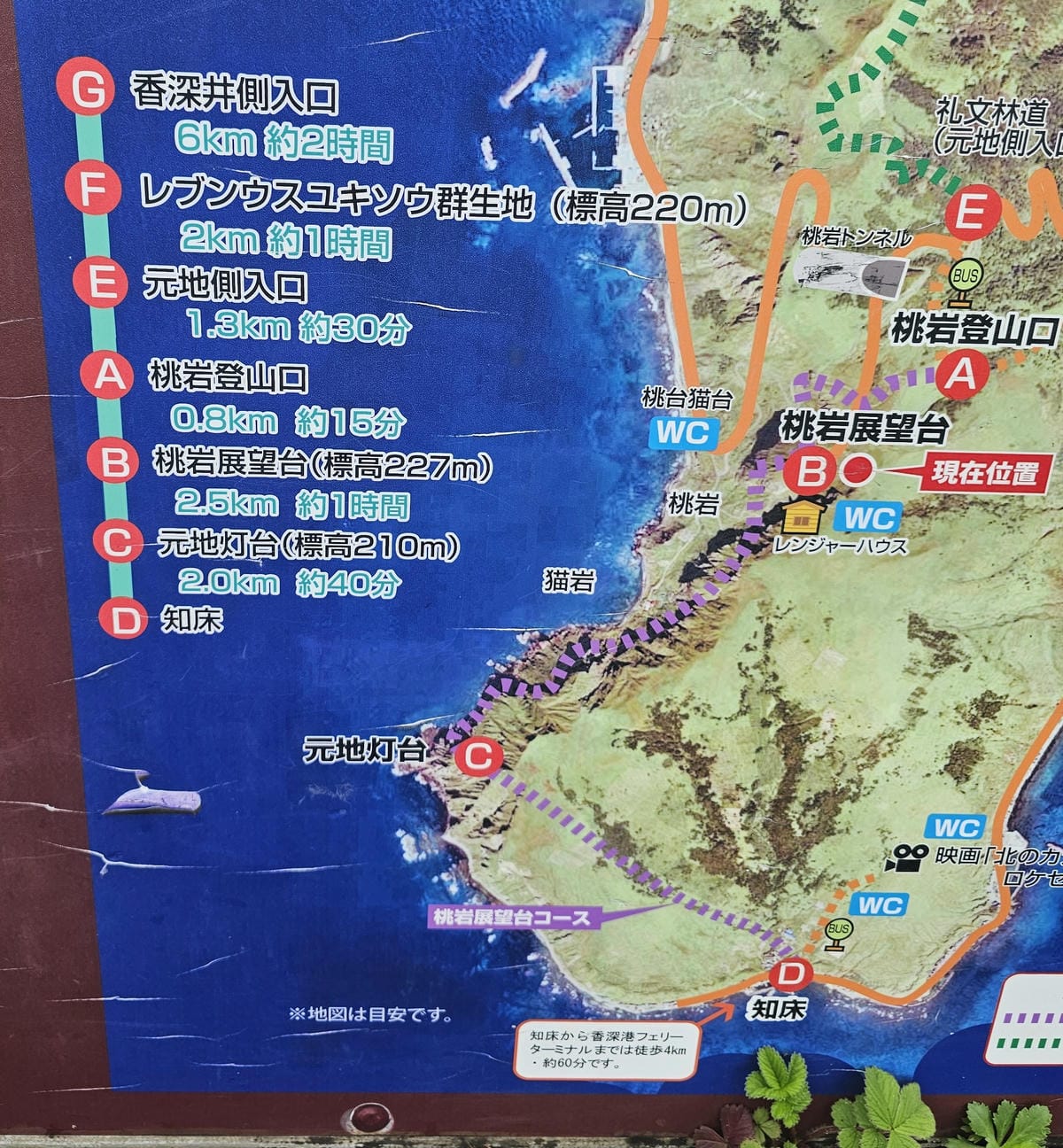 Day3-1 道北的離島 - 花之浮島禮文健行 : 桃岩展望 Day3-1 道北的離島 - 花之浮島禮文健行 : 桃岩展望