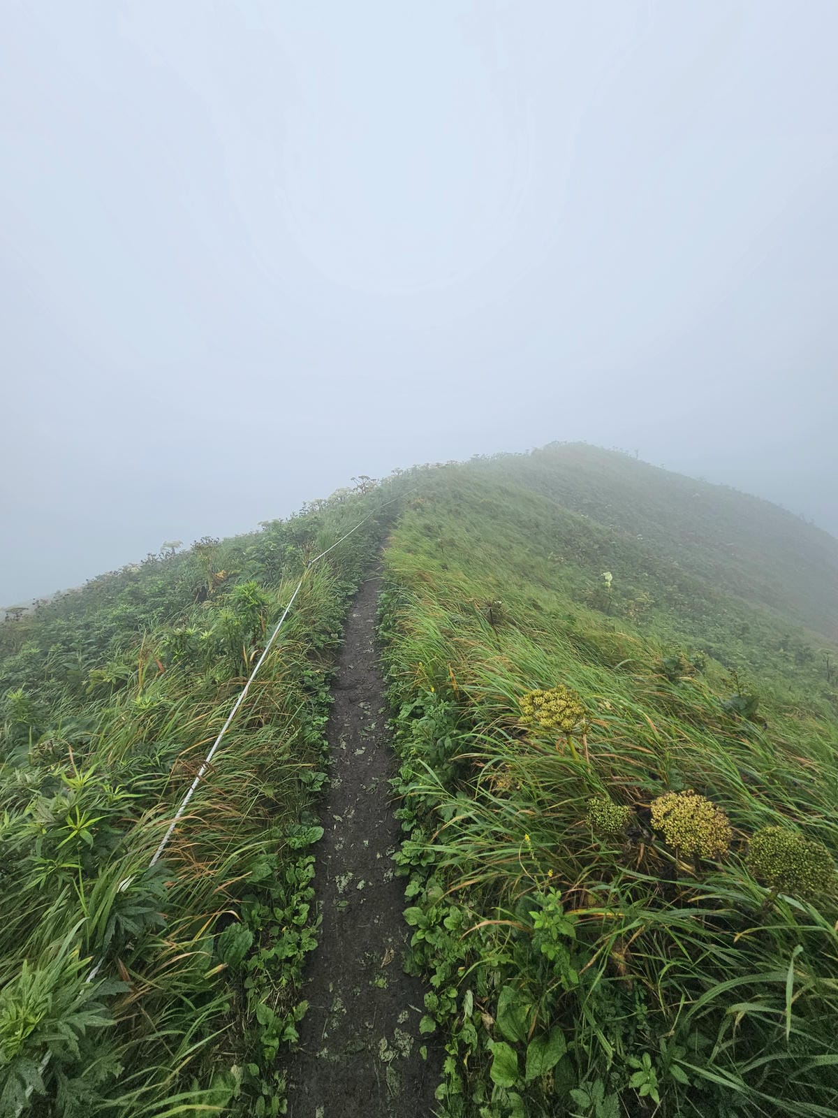 Day3-1 道北的離島 - 花之浮島禮文健行 : 桃岩展望 Day3-1 道北的離島 - 花之浮島禮文健行 : 桃岩展望