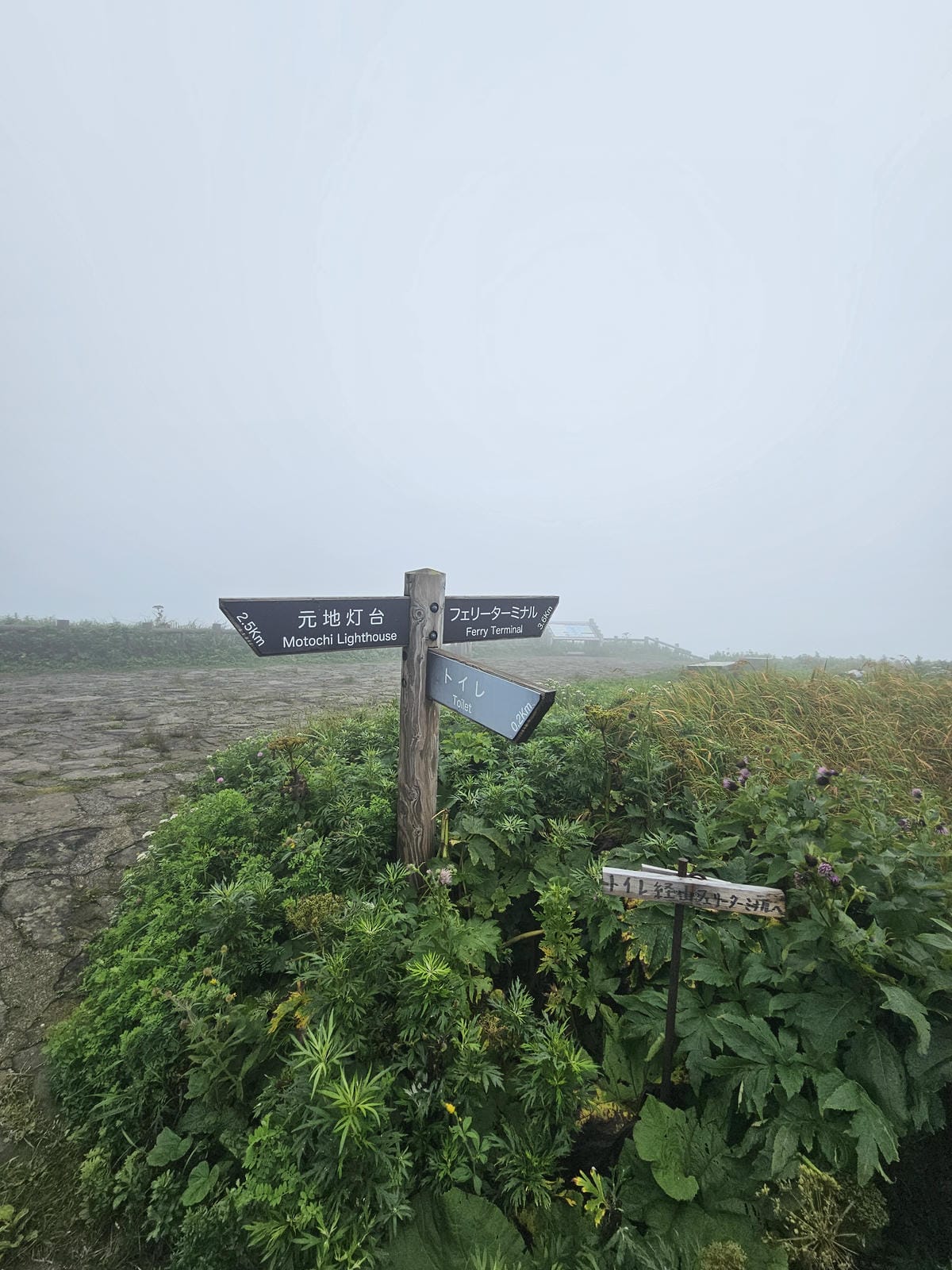 Day3-1 道北的離島 - 花之浮島禮文健行 : 桃岩展望 Day3-1 道北的離島 - 花之浮島禮文健行 : 桃岩展望