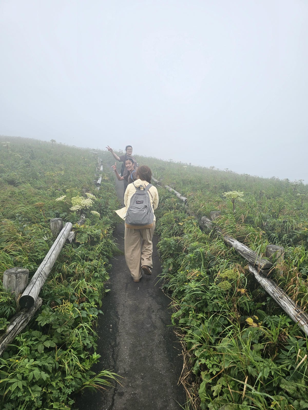 Day3-1 道北的離島 - 花之浮島禮文健行 : 桃岩展望 Day3-1 道北的離島 - 花之浮島禮文健行 : 桃岩展望