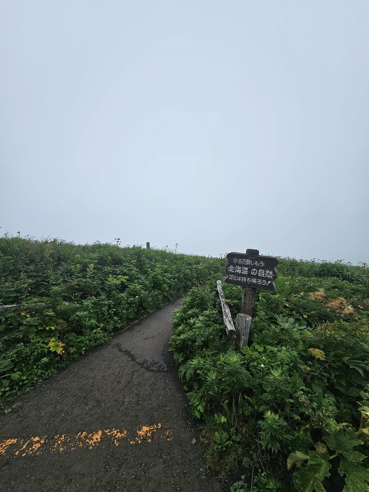 Day3-1 道北的離島 - 花之浮島禮文健行 : 桃岩展望 Day3-1 道北的離島 - 花之浮島禮文健行 : 桃岩展望