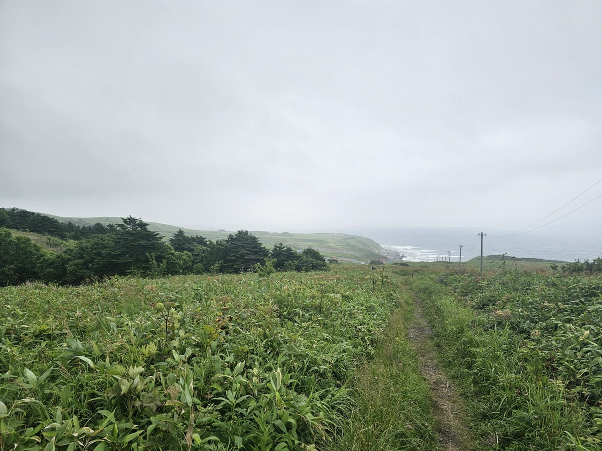 Day3-1 道北的離島 - 花之浮島禮文健行 : 桃岩展望 Day3-1 道北的離島 - 花之浮島禮文健行 : 桃岩展望