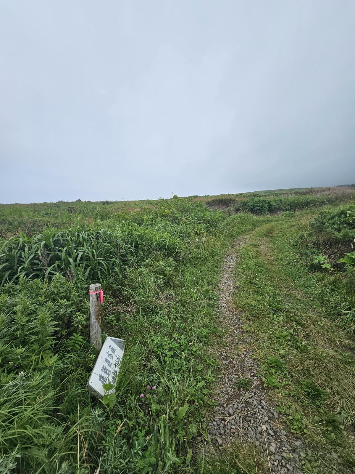 Day3-1 道北的離島 - 花之浮島禮文健行 : 桃岩展望 Day3-1 道北的離島 - 花之浮島禮文健行 : 桃岩展望