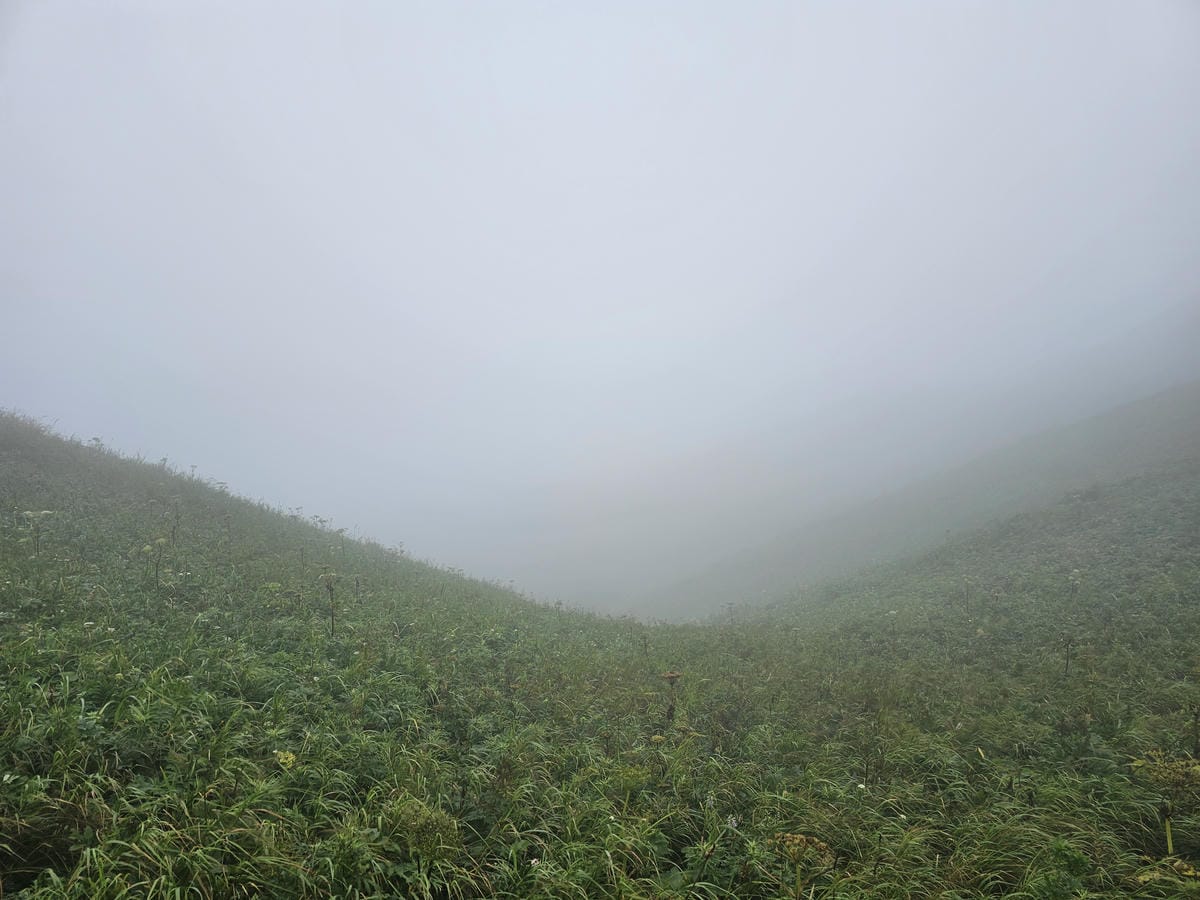 Day3-1 道北的離島 - 花之浮島禮文健行 : 桃岩展望 Day3-1 道北的離島 - 花之浮島禮文健行 : 桃岩展望