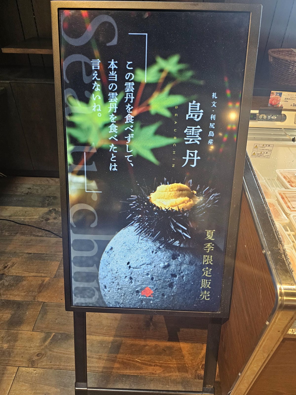 Day3-2 道北的離島 - 自駕禮文 : 海角天涯的澄海岬