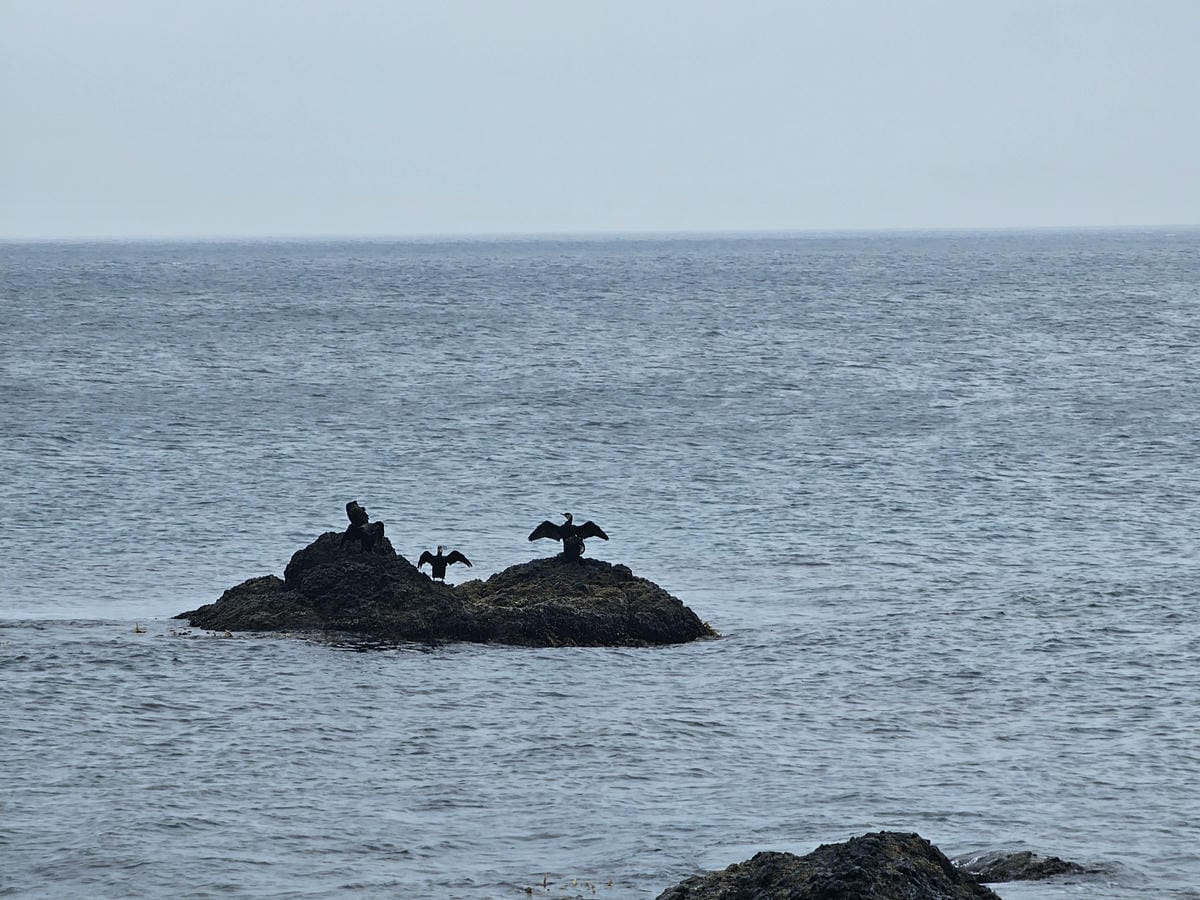 Day3-2 道北的離島 - 自駕禮文 : 海角天涯的澄海岬