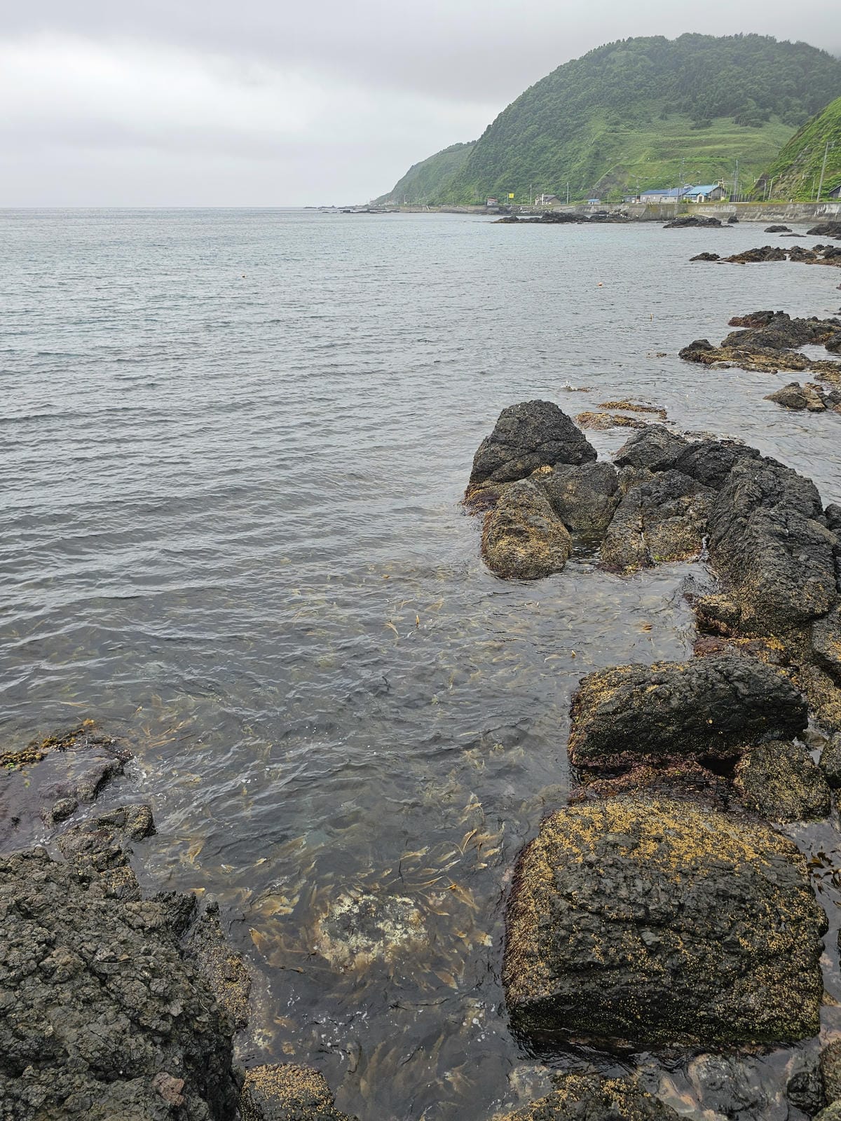 Day3-2 道北的離島 - 自駕禮文 : 海角天涯的澄海岬