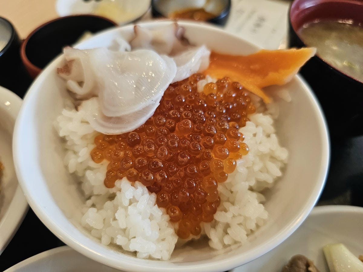 Day4-1 再訪稚內 - 日本最北的城市&車站