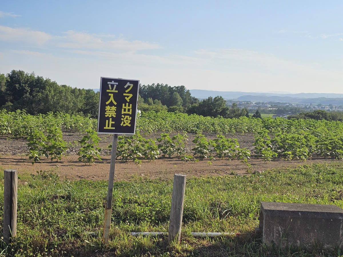 【JR北海道】我在道北，音威子府「撞」火車