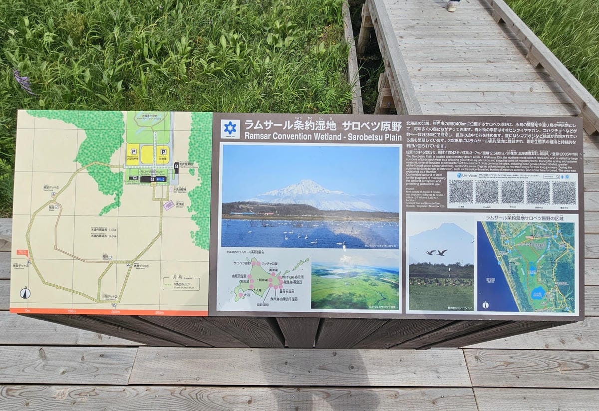Day5-1 道北自駕遊 : 佐呂別濕原(サロベツ湿原)漫步