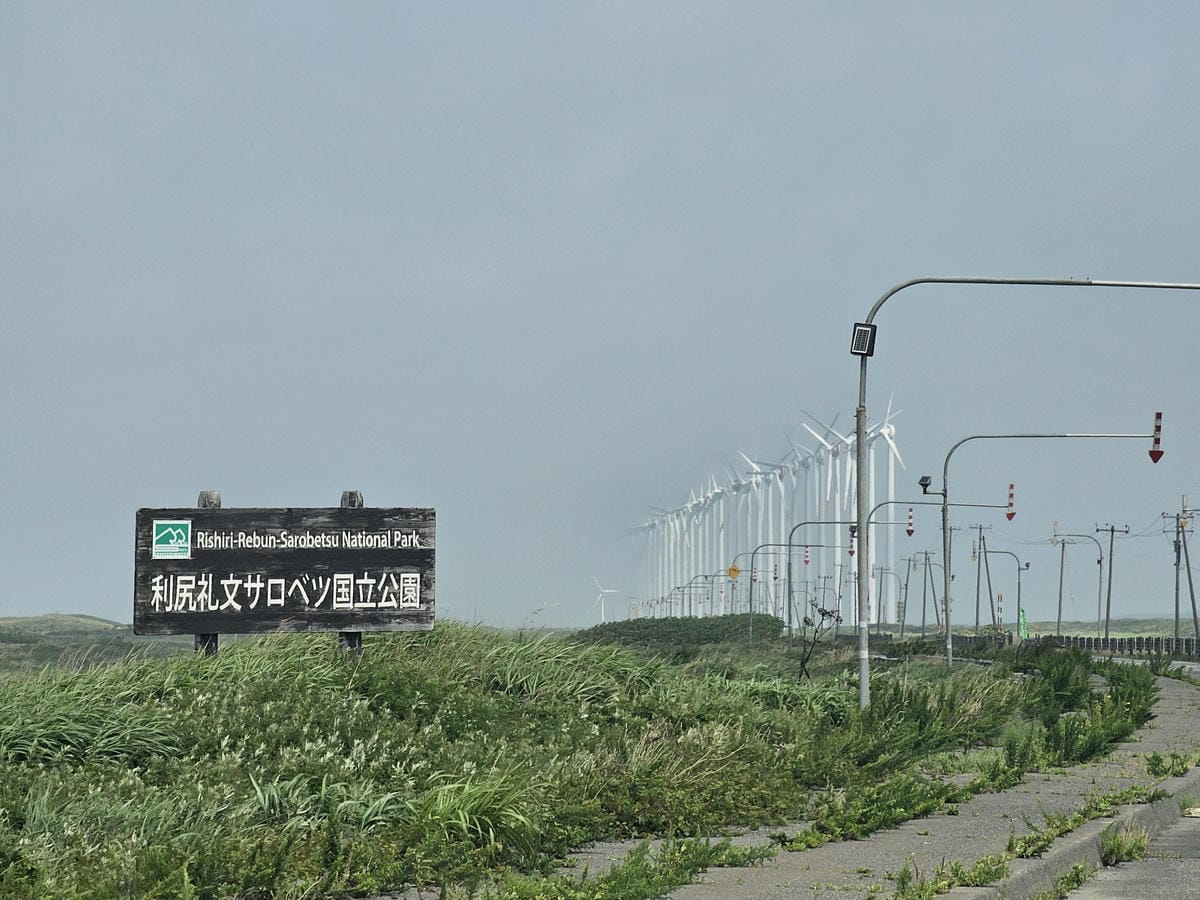 Day5-1 道北自駕遊 : 佐呂別濕原(サロベツ湿原)漫步