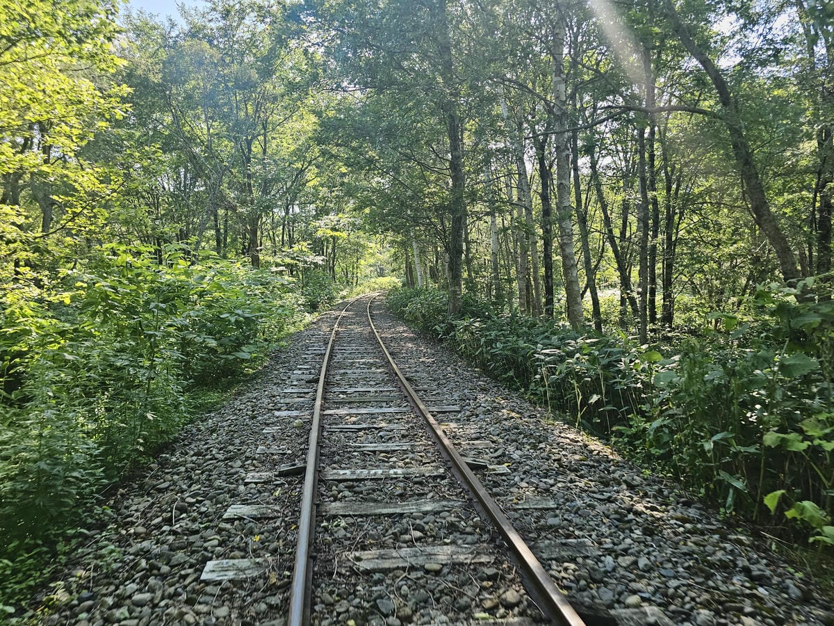 Day5-2 道北自駕遊 : トロッコ王國美深 自駕機動礦車