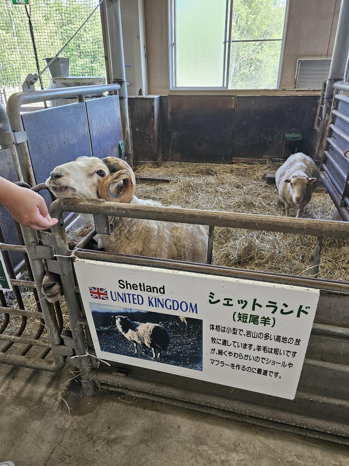 Day6 道北自駕遊 : 名寄北国博物館看SL鏟雪車 & 士 Day6 道北自駕遊 : 名寄北国博物館看SL鏟雪車 & 士