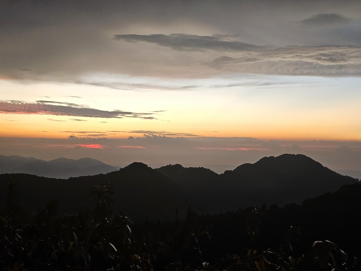 露營記趣 第39露_苗栗南庄雲境松林