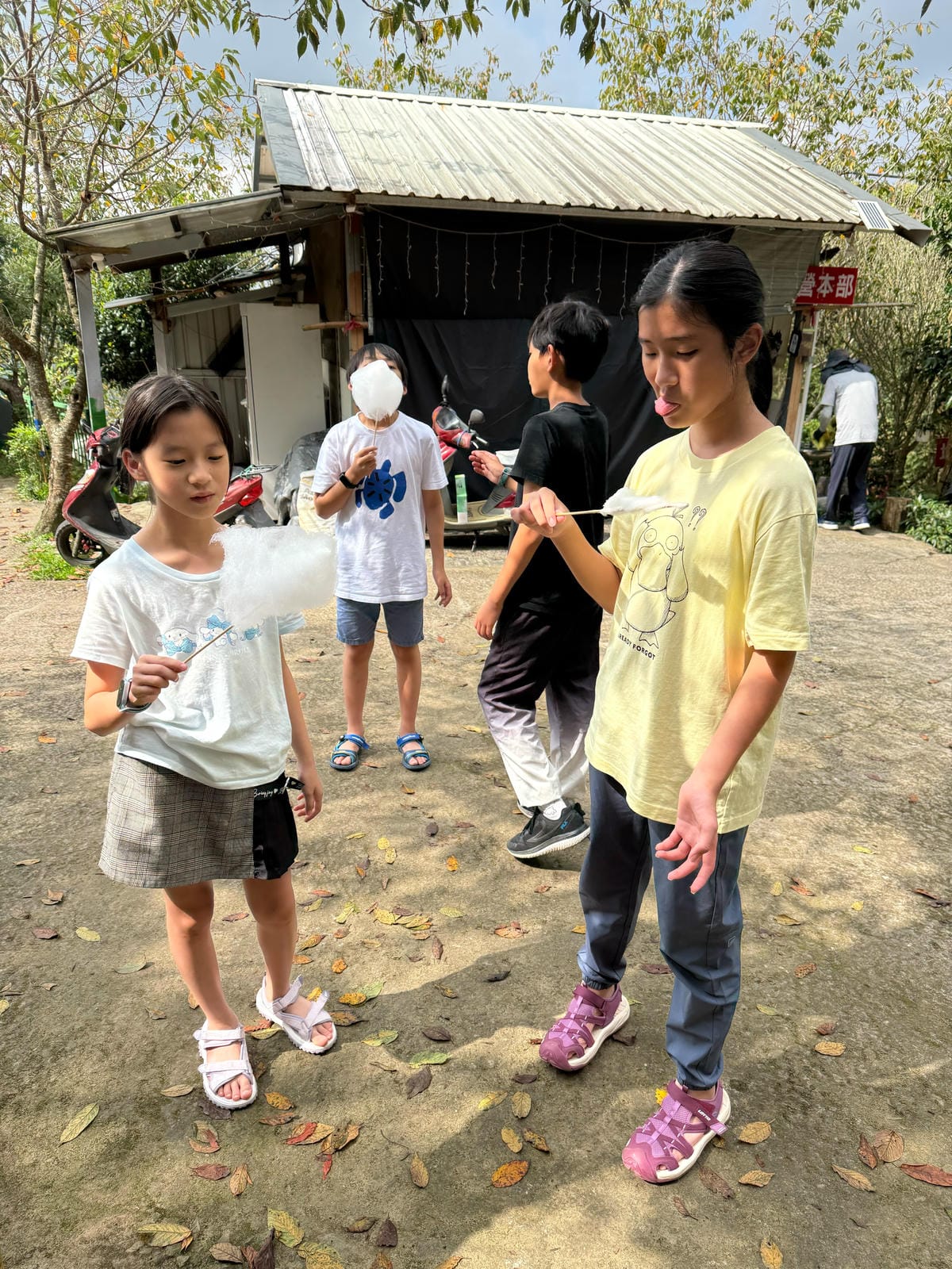 露營記趣 第39露_苗栗南庄雲境松林