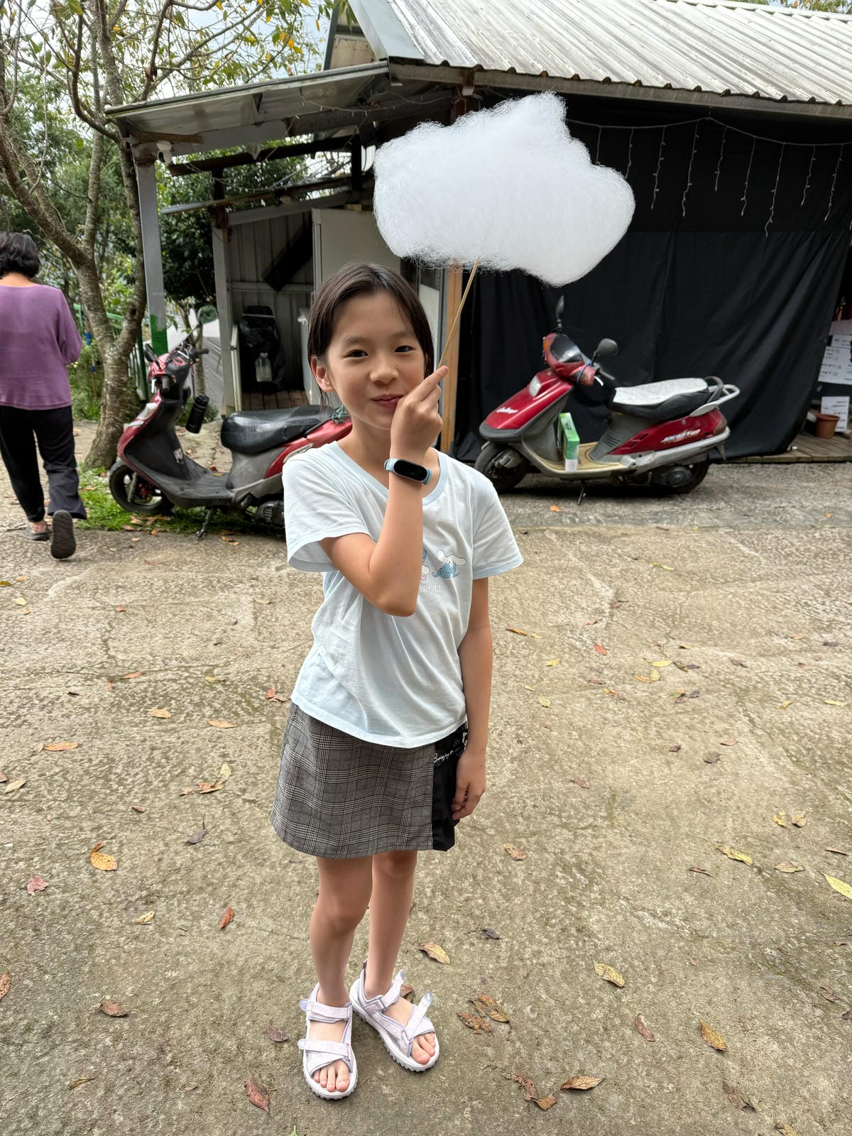 露營記趣 第39露_苗栗南庄雲境松林