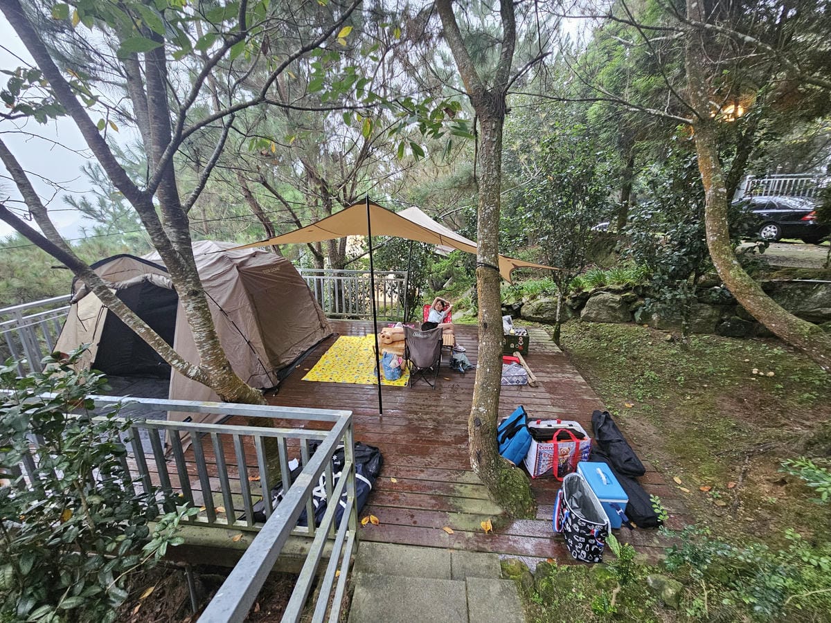 露營記趣 第39露_苗栗南庄雲境松林