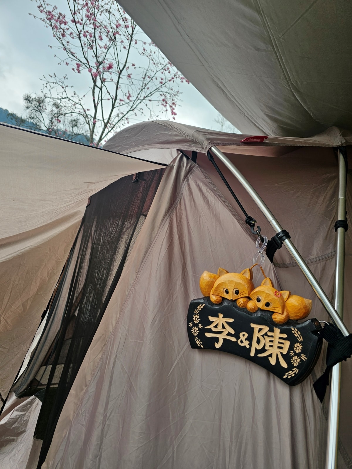 【露營記趣】第42露 新竹五峰鹿林道櫻花季 - 第7張圖 【露營記趣】第42露 新竹五峰鹿林道櫻花季
