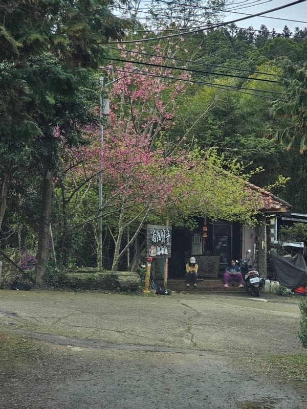 【露營記趣】第43露 苗栗南庄南山傳奇 - 第3張圖 【露營記趣】第43露 苗栗南庄南山傳奇